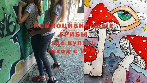 PSILOCYBIN Аркадак