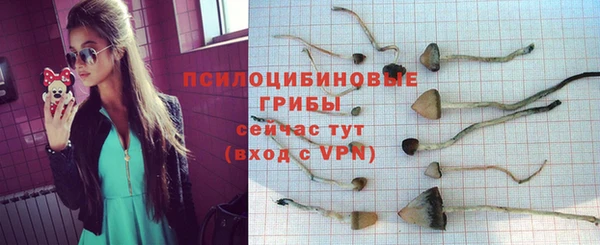 дурь Армянск