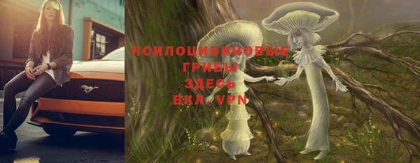 дурь Армянск