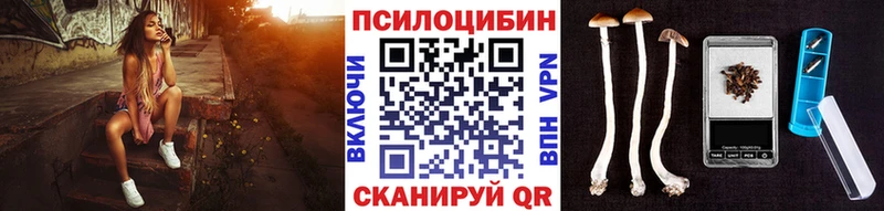 Купить  Алушта  Галлюциногенные грибы Cubensis 